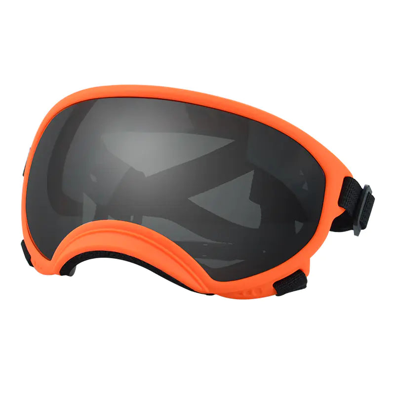 Fashionable Dog Skiing Goggles for Unique Style