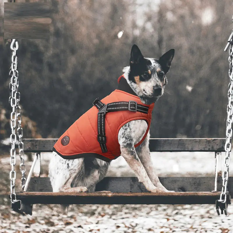 Winter Dog Coat