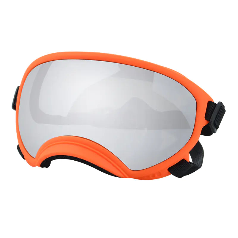 Fashionable Dog Skiing Goggles for Unique Style
