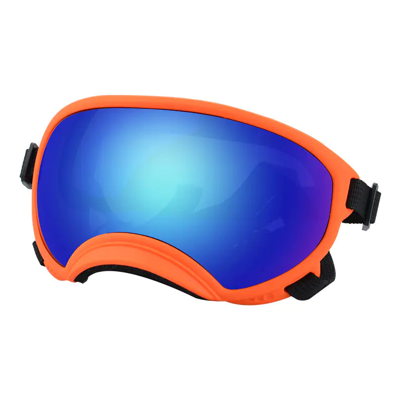Fashionable Dog Skiing Goggles for Unique Style