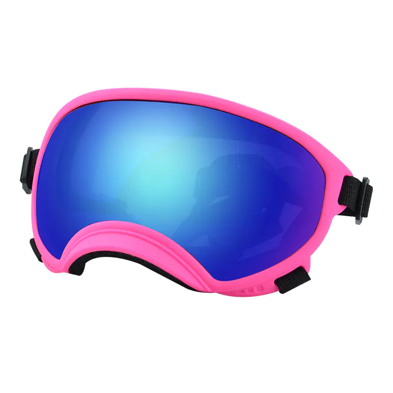 Fashionable Dog Skiing Goggles for Unique Style