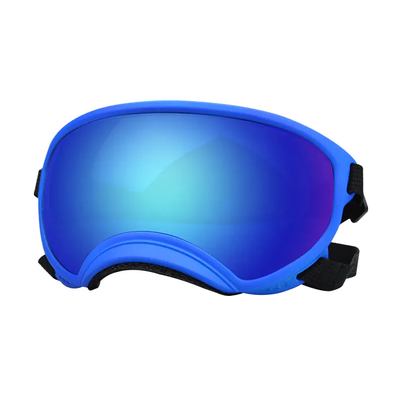 Fashionable Dog Skiing Goggles for Unique Style
