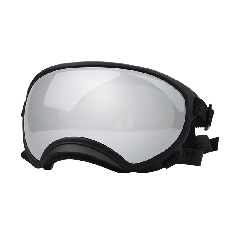 Fashionable Dog Skiing Goggles for Unique Style