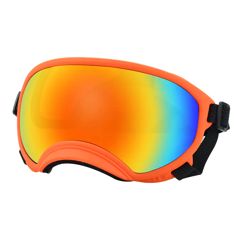 Fashionable Dog Skiing Goggles for Unique Style