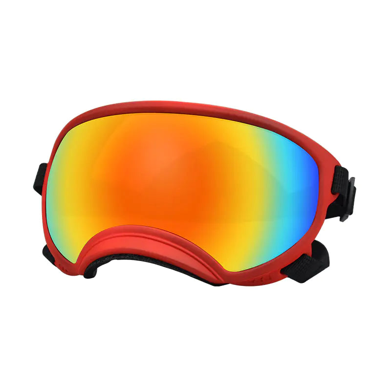 Fashionable Dog Skiing Goggles for Unique Style