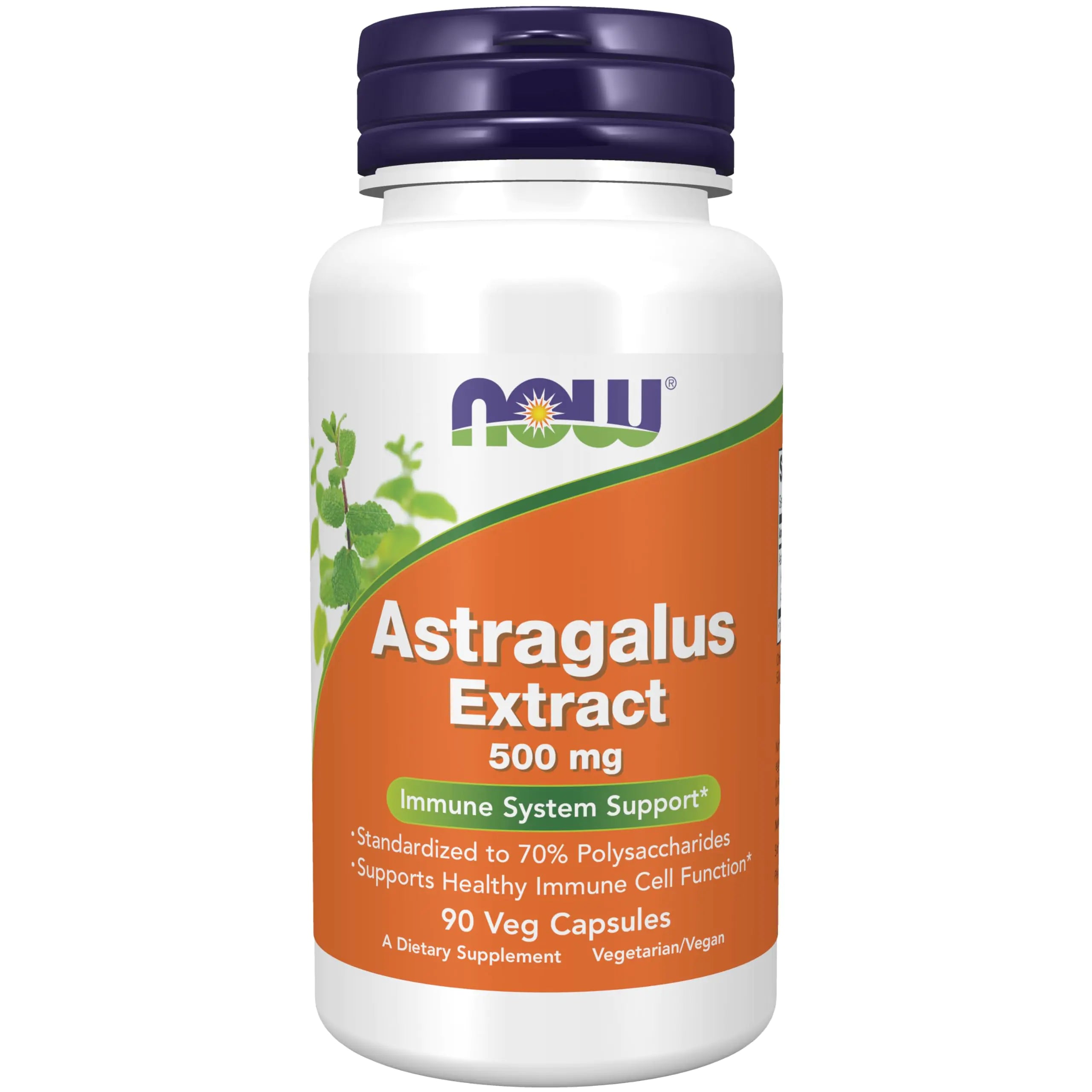 NOW Immune Support Supplements Astragalus Extract 500 mg (Standardized to 70% Polysaccharides) 90 Veg Capsules