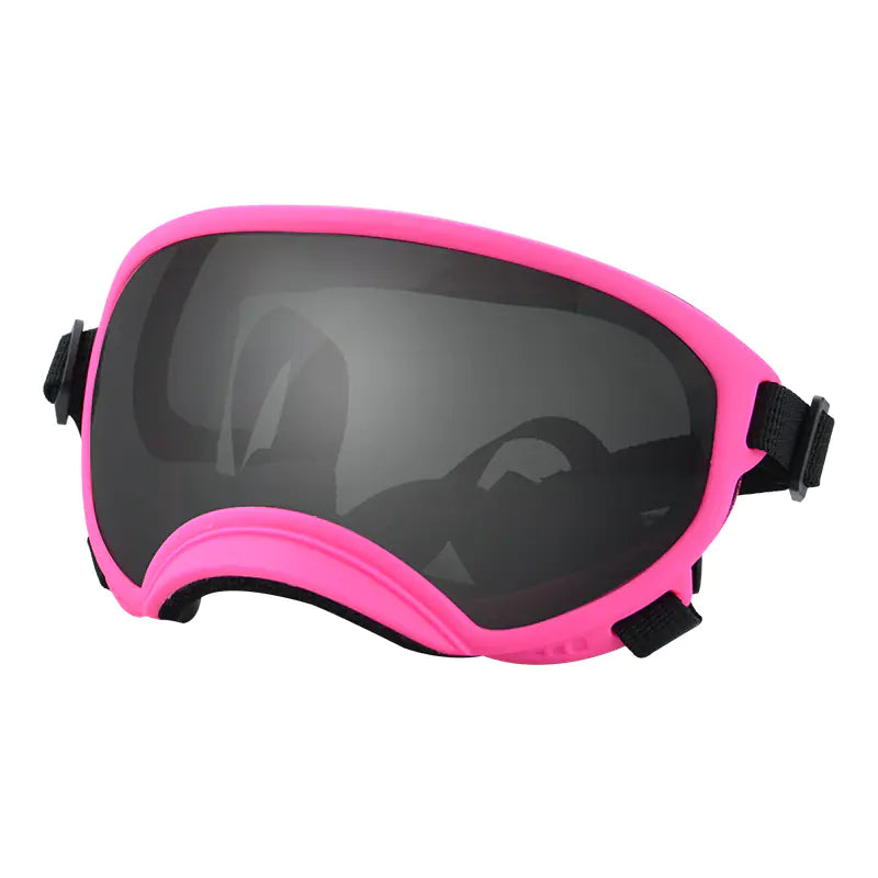 Fashionable Dog Skiing Goggles for Unique Style