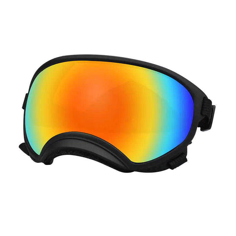 Fashionable Dog Skiing Goggles for Unique Style